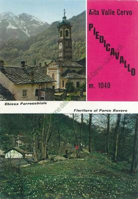 “Alta Valle Cervo Piedicavallo m. 1040 - Chiesa Parrocchiale - Fioritura al Parco Ravere”